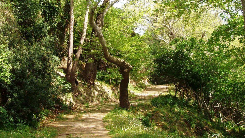 paeonia trails Excursions Rhodes island